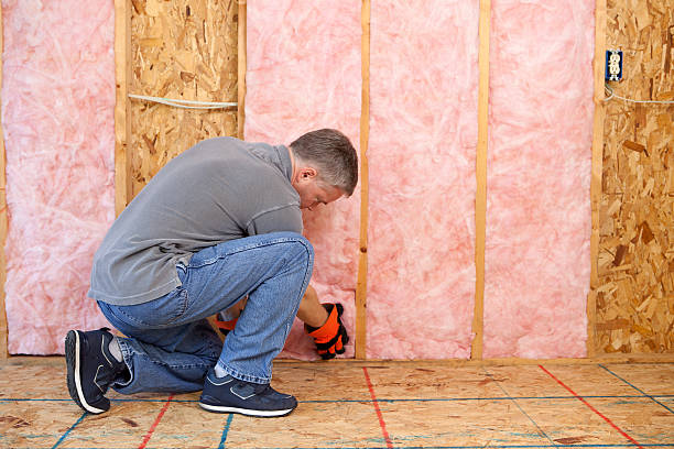 Best Insulation Contractors for Homes  in Lebanon, IL